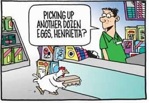 chicken_crossed_the_road_06.jpg
