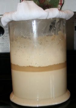 starter1.jpg