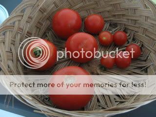 IMG_0719.jpg