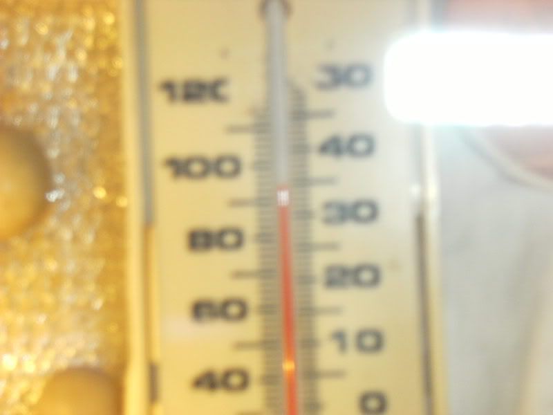 DSCF2383.jpg