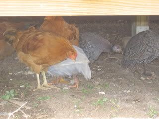 IMG_0862.jpg
