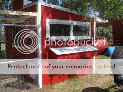 chicken_coop005.jpg