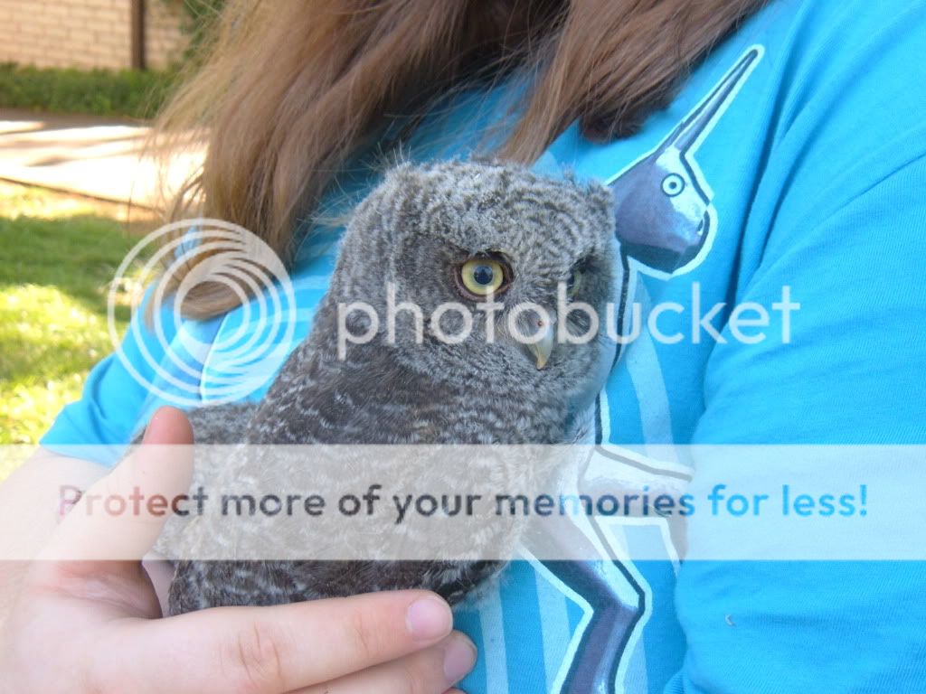 DSCF2272.jpg