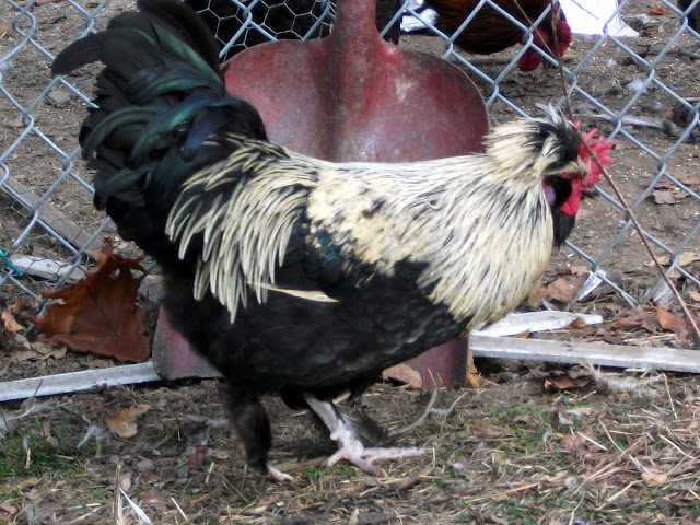 DSCF1491.JPG