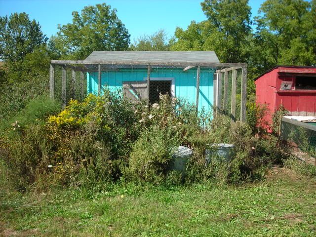 DSCN0757.jpg
