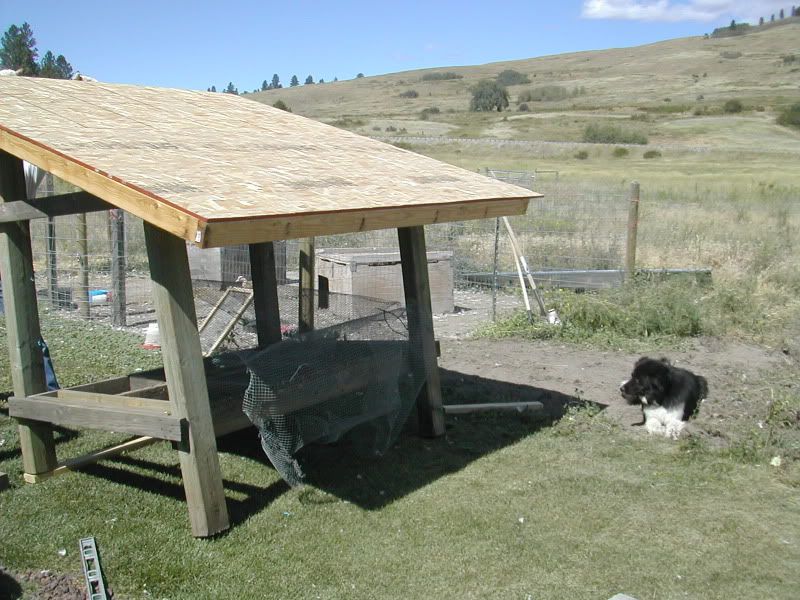 DSCN4731.jpg