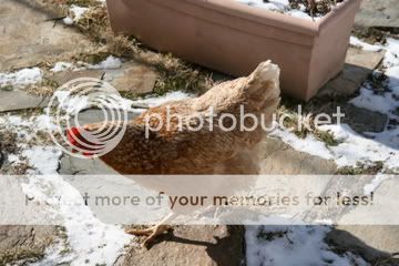 IMG_3500.jpg