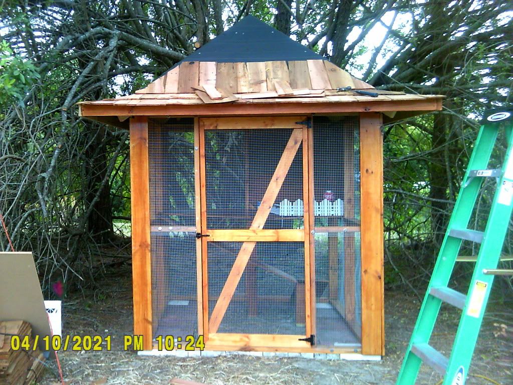 DSCF0006.jpg