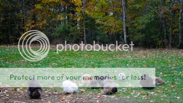 _MG_6397.jpg