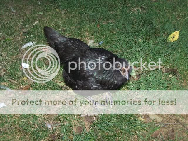 100_3576.jpg