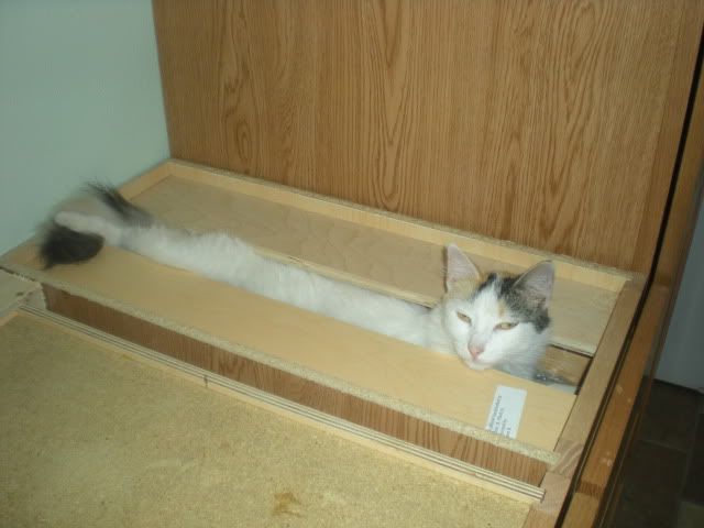 DSCN1459.jpg