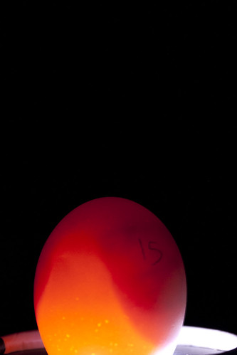 6225484026_1620f94106.jpg