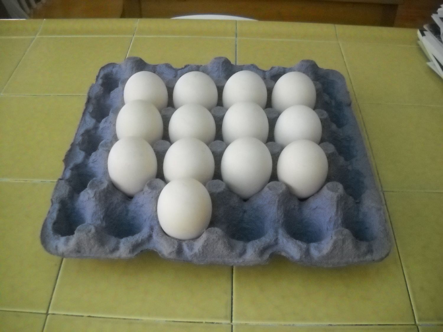 900x900px-LL-bb308fc8_AlisonsCamera-All104.jpeg