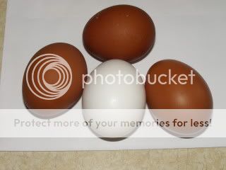 018-2.jpg