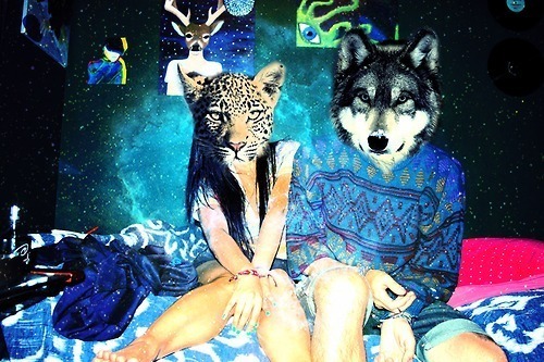 tumblr_m014peBSOg1qdo2h6o1_500.jpg
