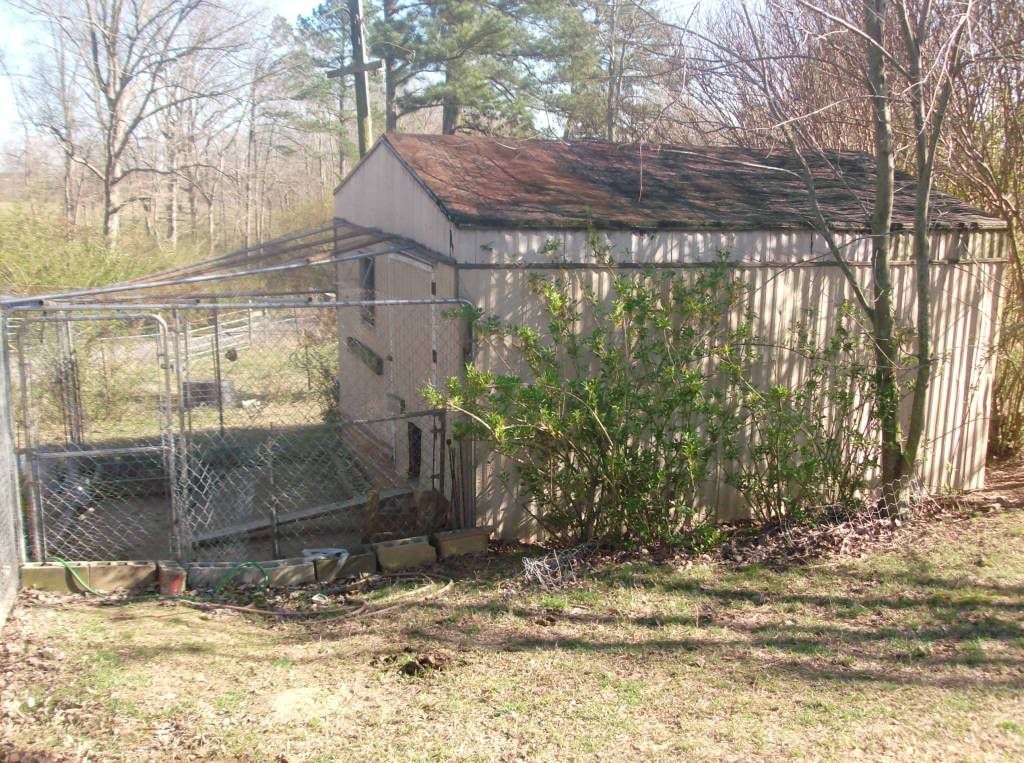 backyardchickens2031.jpg