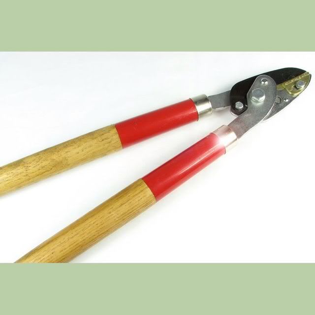ct1006_loppers.jpg
