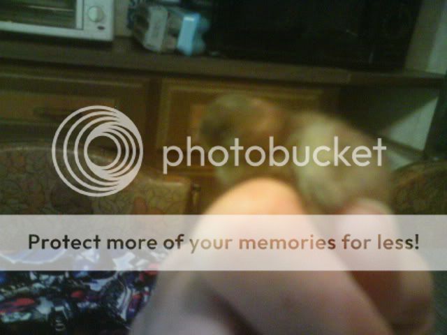 Picture023.jpg