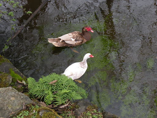 DSCN5434.JPG
