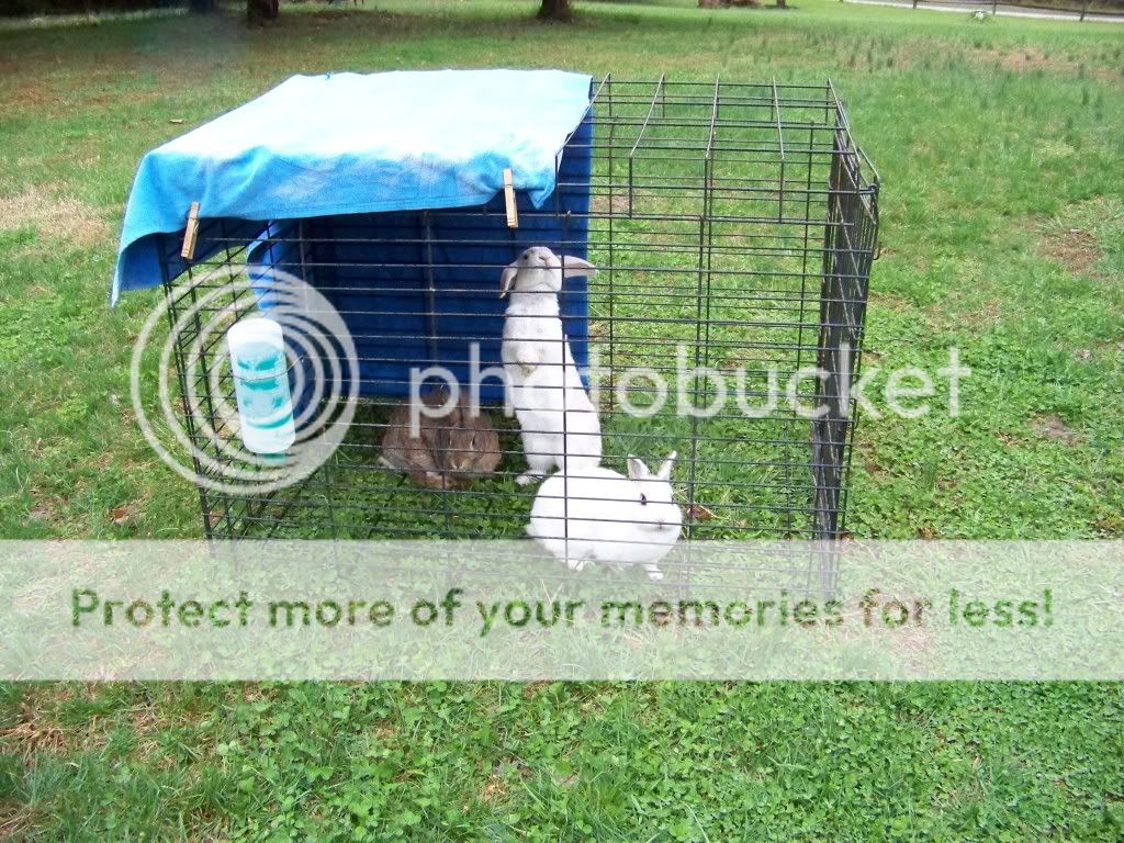 100_2669.jpg