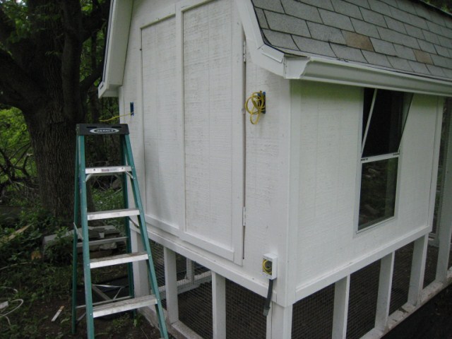 chickens%20009%20%5B640x480%5D.JPG