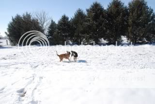 DSC_1907.jpg