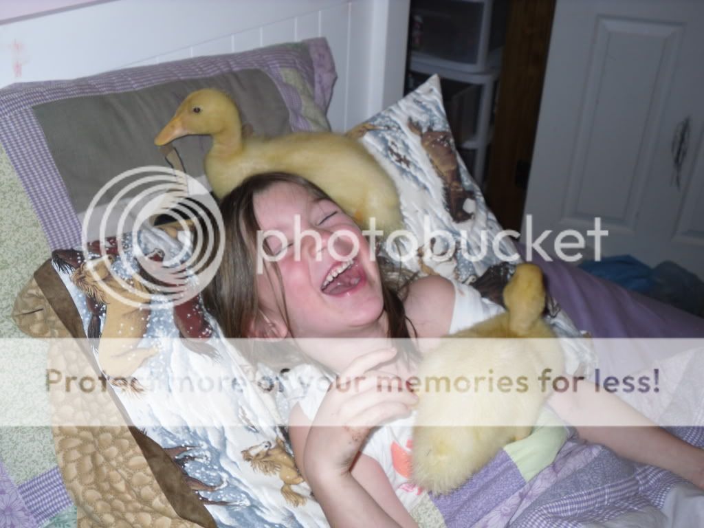 SDC10626.jpg