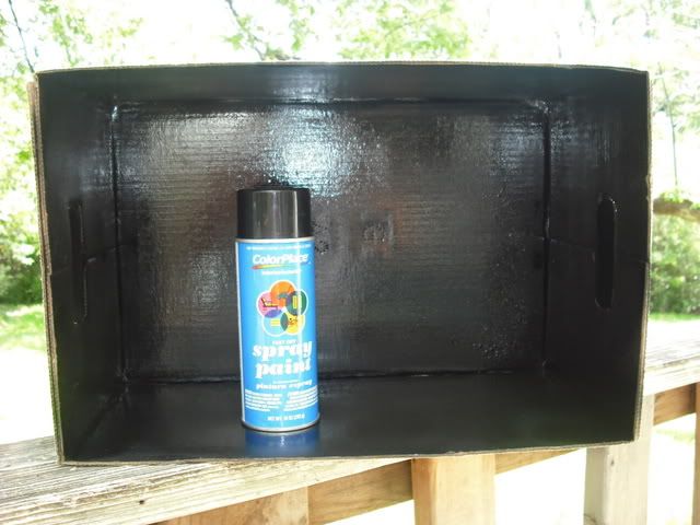 DSCF0535.jpg