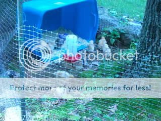 DSCN0879.jpg
