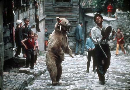03-dancing-bear.jpg