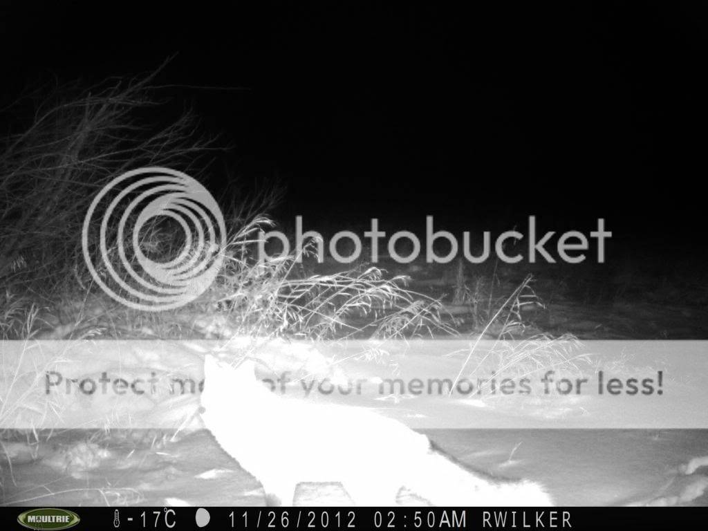 PICT00042.jpg