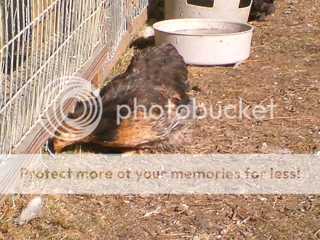 DSCF5091.jpg