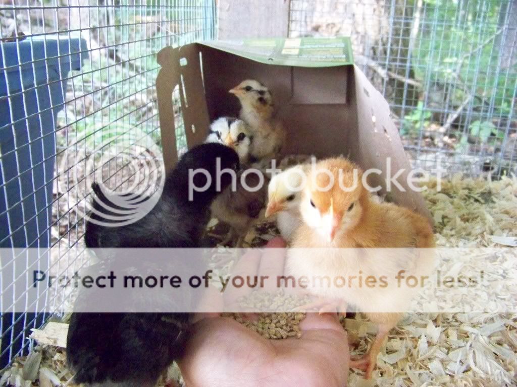 100_3494.jpg