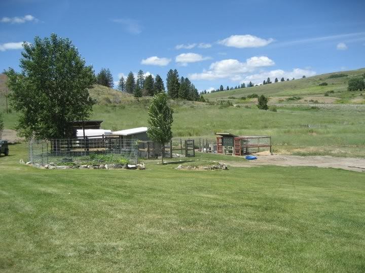 07092011coops.jpg