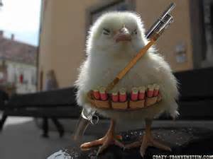 30x30px-ZC-c0df4a56_funnychicken.jpeg