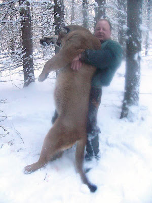 cougar.jpg