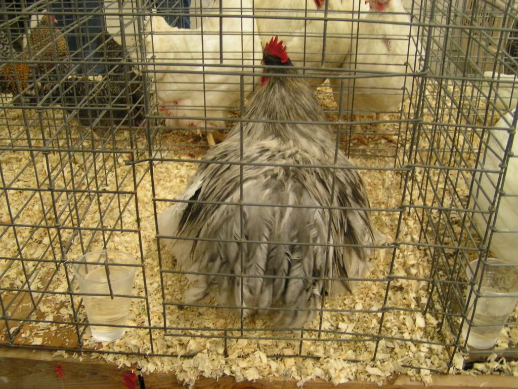PICT0480.jpg