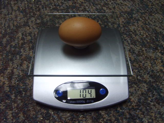 4-30-10004.jpg