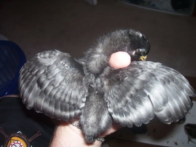 100_2553.jpg
