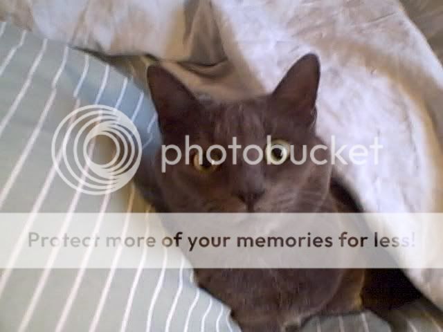 EmmaSnapshot1.jpg