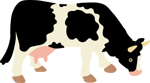 cow-1204968__340.png