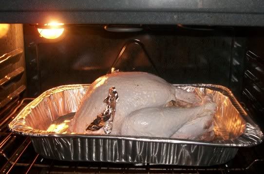 UncookedTurkey.jpg