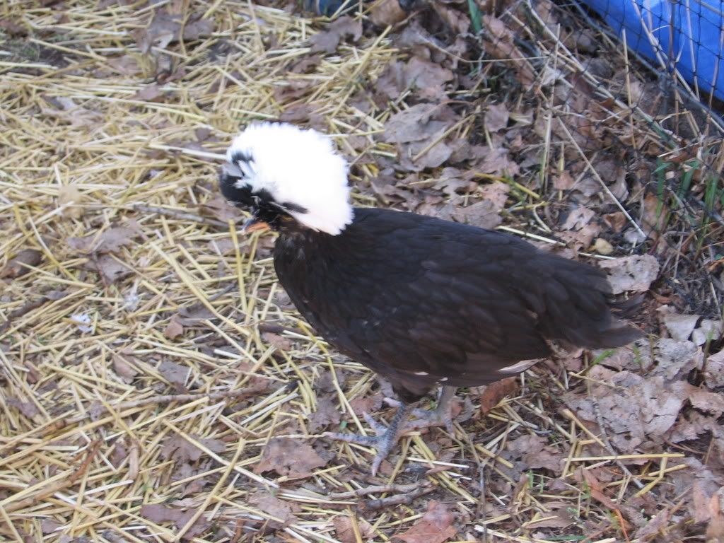 IMG_1581.jpg