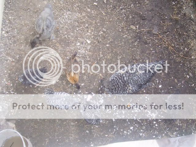 100_2886.jpg