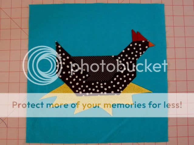 DSC03567.jpg