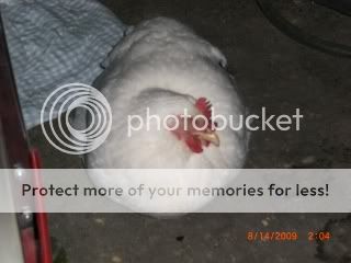 CIMG2444.jpg