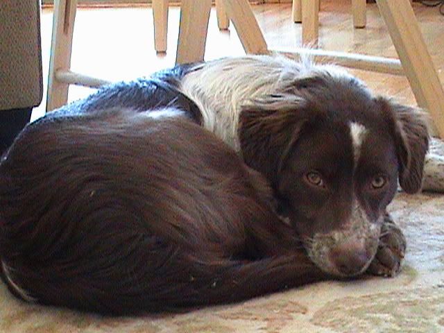 DSC00137.jpg