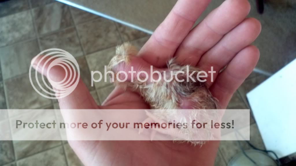 2011-09-15_19-03-47_21.jpg