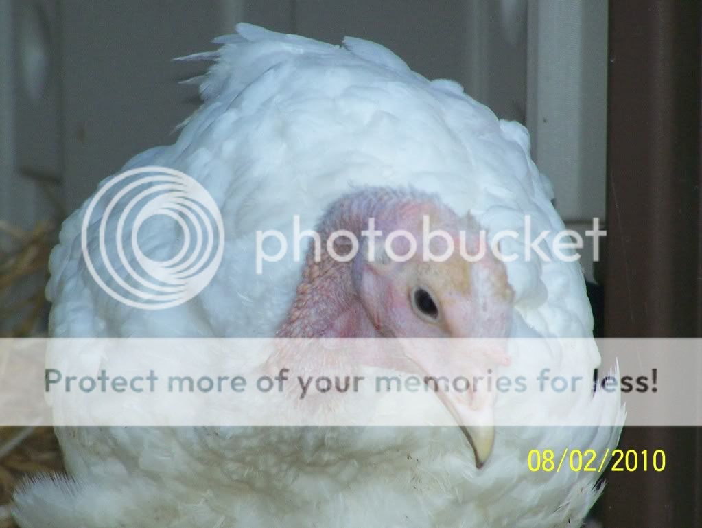 100_5642.jpg
