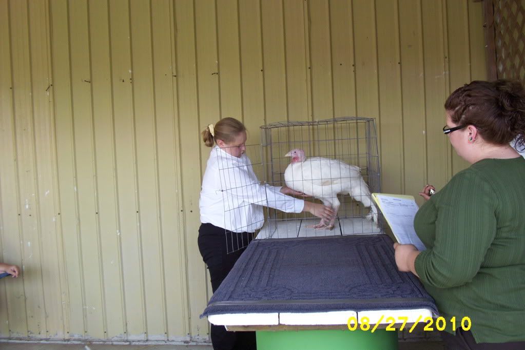 CounyFair2010013.jpg